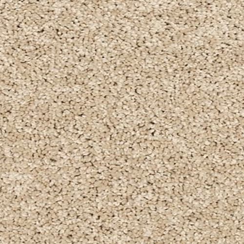 Bon A Pet Treat I|Sandy Beach|737-3M39 - Sample