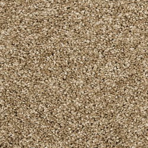 Bon A Pet Treat II|Parchment|787-3M56 - Sample