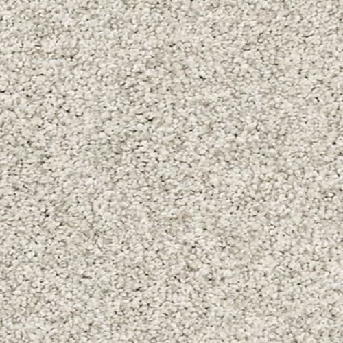 Bon A Pet Treat I|Grey Whisp|919-3M39 - Sample