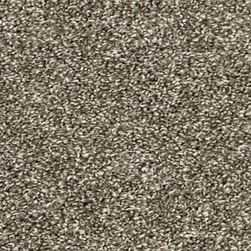 Bon A Pet Treat I|Gravity|964-3M39 - Sample