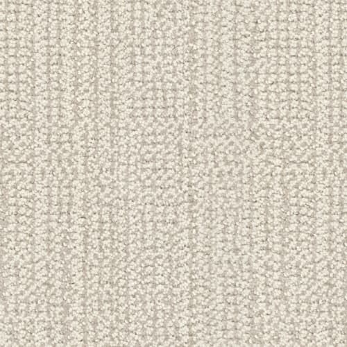 Occasion|Acclaim|339OC-737OC - Sample