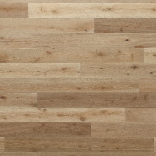 Belmont Hills|Oakdale|P-BH537OOX-HF - Sample