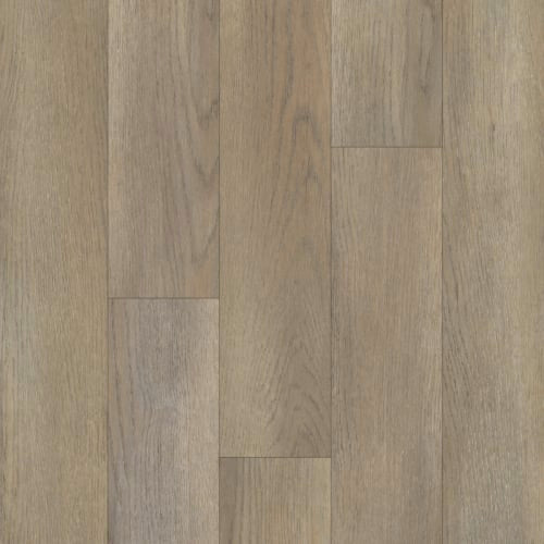 5 Series|Relic Oak|P1062 - D9105 - Sample