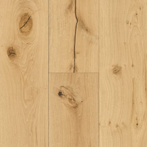 Woodland Enterprise|Warm Latte|P-EKNC97L05W-AH - Sample