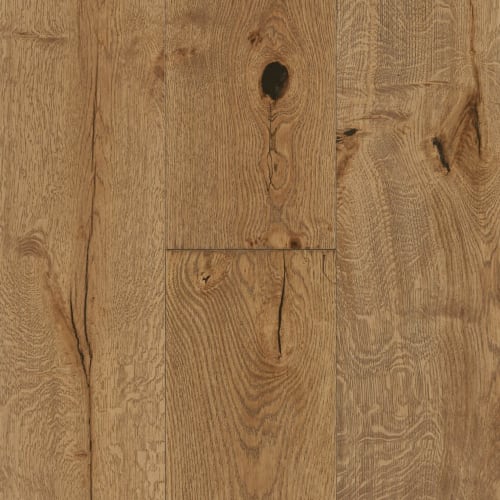 Woodland Enterprise|Bear Cub|P-EKNC97L07W-AH - Sample