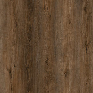 Dorn River|Barton|PM-F151 - B - Sample