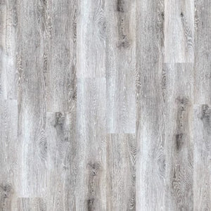 Prosolutions 12|Foghorn|PS8922 - Sample