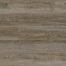 Load image into Gallery viewer, Provident - Public|Tarnished|PR7880LP-20M - Sample