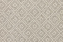Load image into Gallery viewer, Inali in FOSSIL 46 - Sample