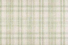 Load image into Gallery viewer, Wilder in 62 GREEN - Sample