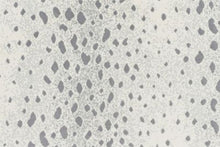 Load image into Gallery viewer, Deerfield in BONE 089 - Sample