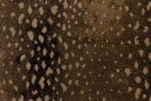 Load image into Gallery viewer, Deerfield in CARAMEL 71 - Sample