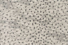 Load image into Gallery viewer, Ennis in GRAPHITE 21 - Sample