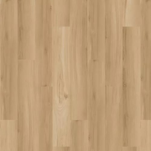 Arbor Terrace|Ellis|SDE03-207 - Sample