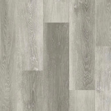 Load image into Gallery viewer, Suwannee River|Repose|PM-7309-B - Sample