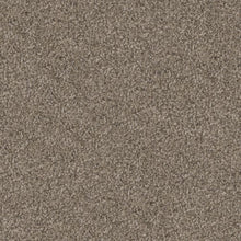 Load image into Gallery viewer, Trivor|Greyhound|PM-D069-96742-D - Sample