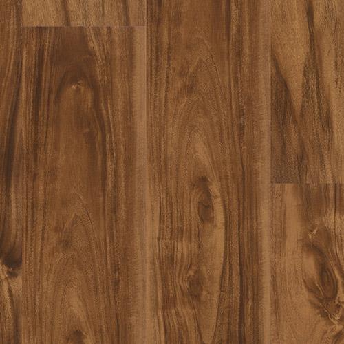 Alpha Collection|Spice Accacia|P1030 - D8007 - Sample