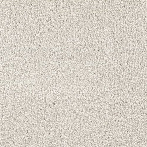 Spring Break|Seashell|D070-72846 - Sample