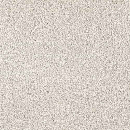 Spring Break|Seashell|D070-72846 - Sample
