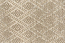 Load image into Gallery viewer, Rory in CHAMPAGNE 113 - Sample