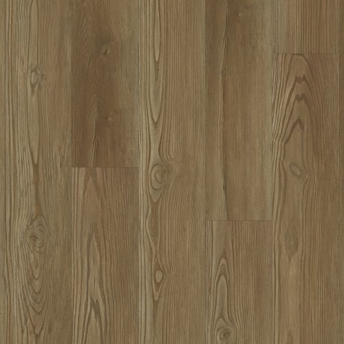 Alpha Collection|Butterscotch Oak|P1042-D8011 - Sample