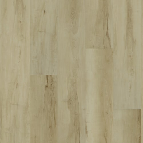 Alpha Collection|Natural Maple|P1042-D8012 - Sample