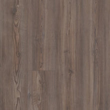 Load image into Gallery viewer, Unrivaled 7"|Keystone Pine|02703_234CT - Sample