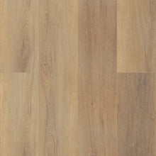 Load image into Gallery viewer, Wooster Hd 9"|Canterbury Elm|02093_MH70A - Sample