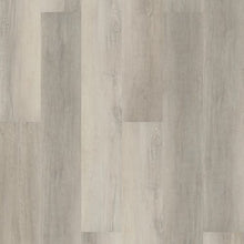 Load image into Gallery viewer, Wooster Hd 9"|Cambridge Elm|02096_MH70A - Sample