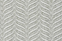 Load image into Gallery viewer, Everen in FERN 92 - Sample