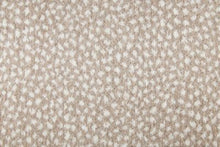 Load image into Gallery viewer, Farrah in DUNE/PEARL 88 - Sample