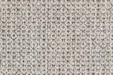 Load image into Gallery viewer, Shandi in GRANITE 55 - Sample