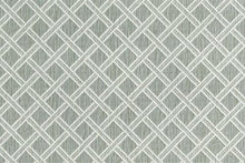 Load image into Gallery viewer, Seminole in SAGE 11 - Sample