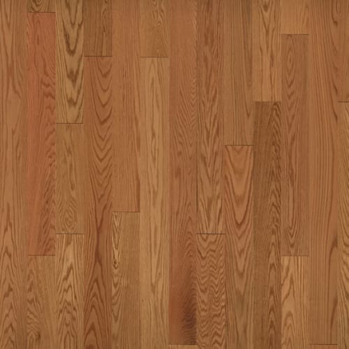 American Traditional Classics|Auburn Red Oak 5