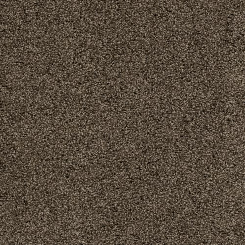 Resilience|Timbers|PM-80013501-CD - Sample