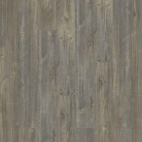 Bedford|Chance|SDP05-923 - Sample