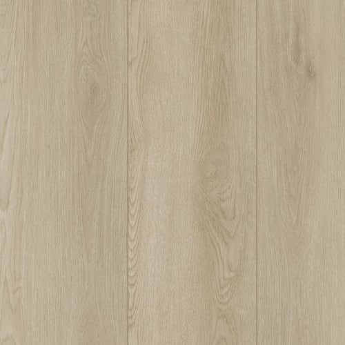 Amber Escape|Foley|SDP07-286 - Sample