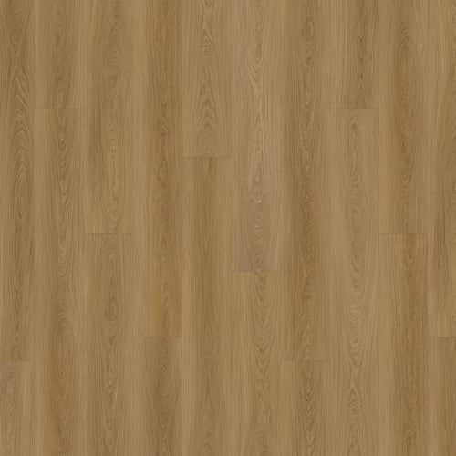 Courtier|Griffith Oak|COGRI9O5MM - Sample