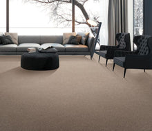 Load image into Gallery viewer, Sheer Essence|Soft Smoke|K8920-9964 - Sample