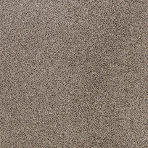 Accolade Almond Mist  - Sample