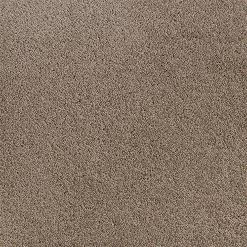 Accolade Bravado  - Sample