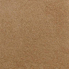 Load image into Gallery viewer, Accolade Buckeye  - Sample