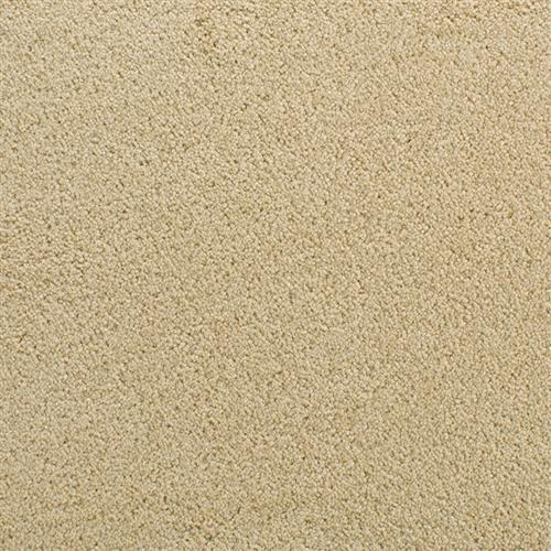 Accolade Cairo Gold  - Sample