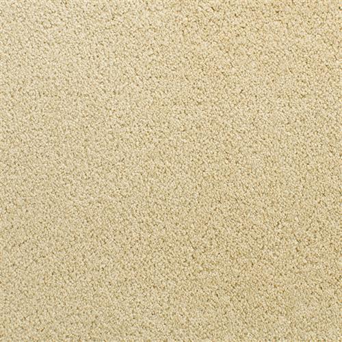 Accolade Decorative  - Sample