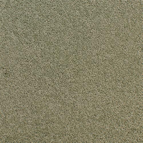 Accolade Fir  - Sample