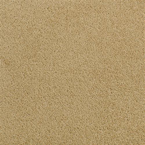 Accolade Megellan  - Sample