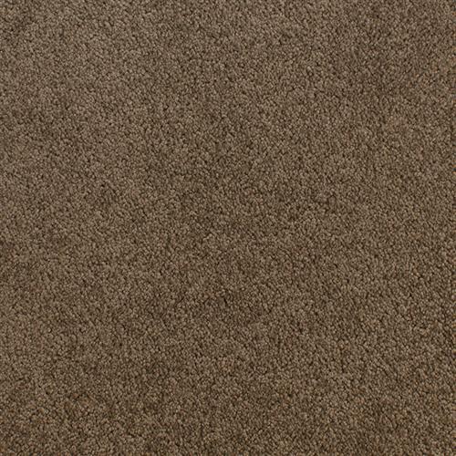 Accolade Mink Maze  - Sample