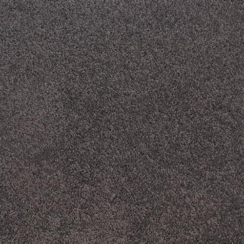 Accolade Museum  - Sample