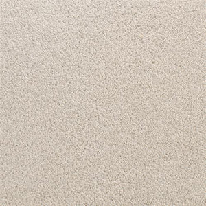 Accolade New Putty  - Sample