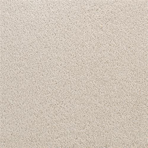 Accolade New Putty  - Sample
